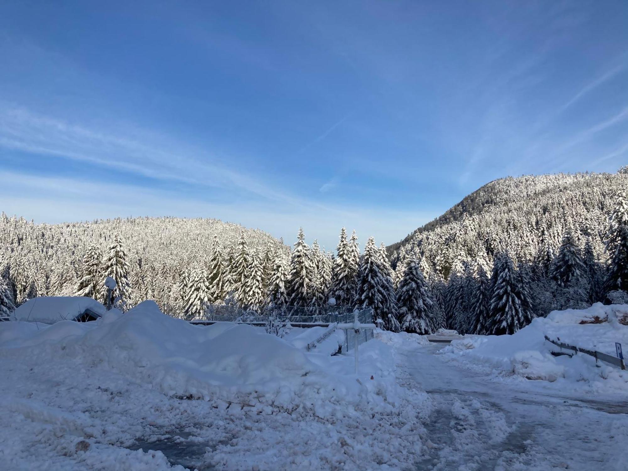 Le Perchoir Du Grand Valtin - Gite 5 Personnes - Altitude 830 Ban-sur-Meurthe-Clefcy Экстерьер фото