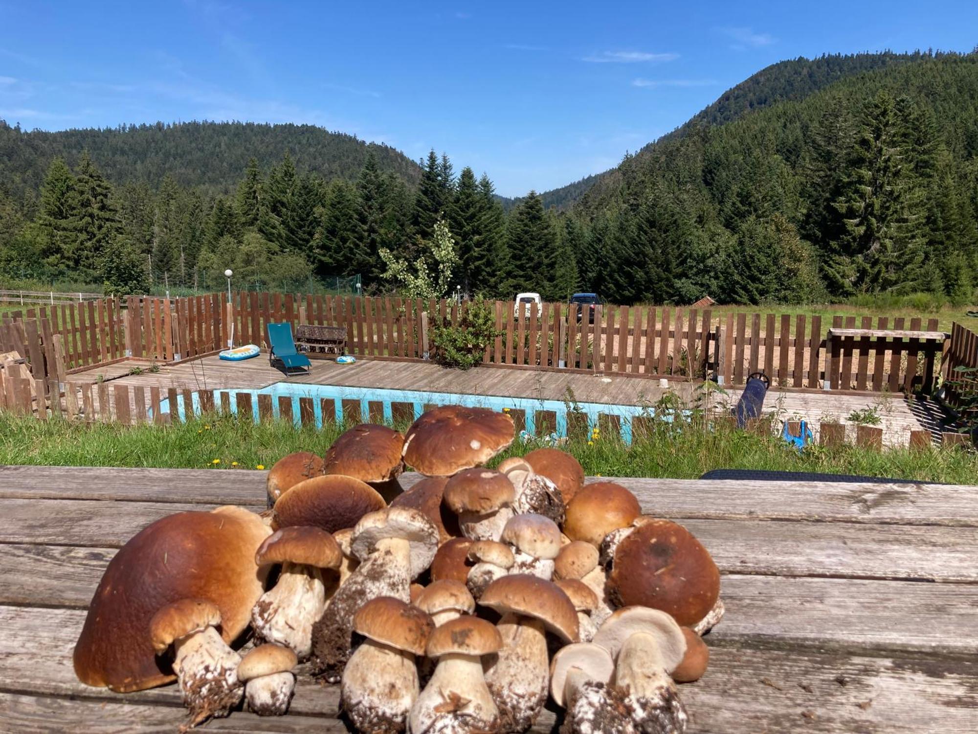 Le Perchoir Du Grand Valtin - Gite 5 Personnes - Altitude 830 Ban-sur-Meurthe-Clefcy Экстерьер фото