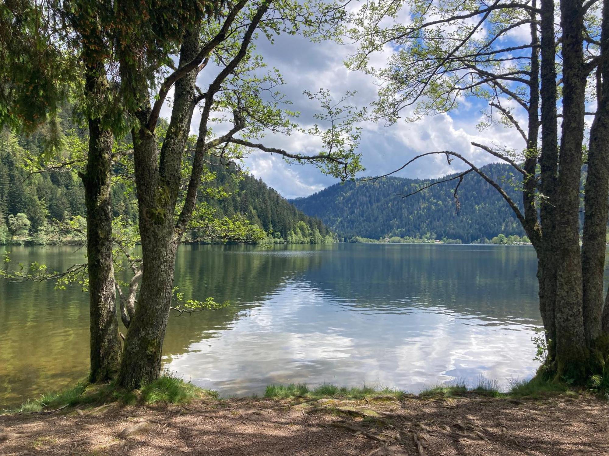 Le Perchoir Du Grand Valtin - Gite 5 Personnes - Altitude 830 Ban-sur-Meurthe-Clefcy Экстерьер фото