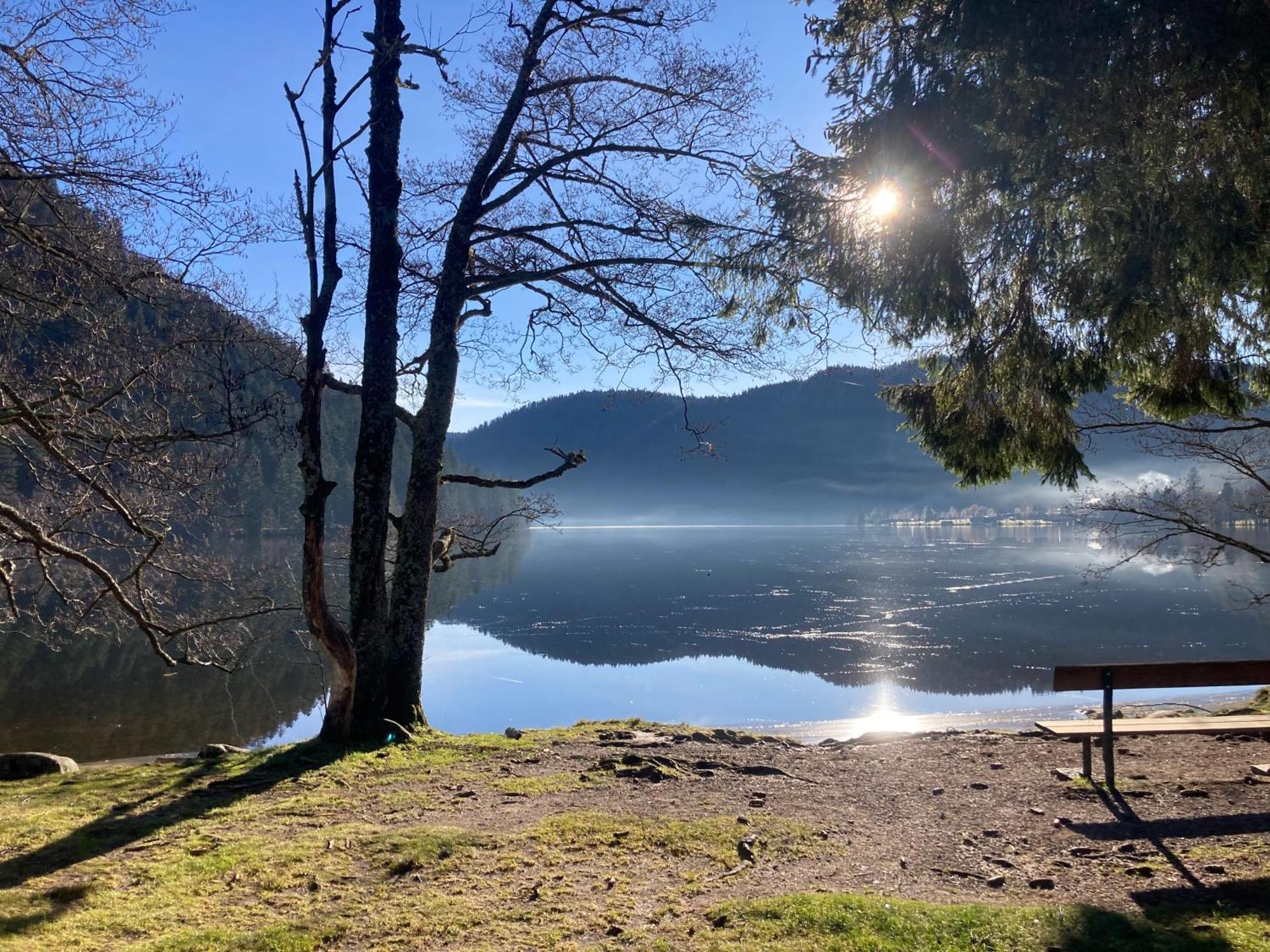 Le Perchoir Du Grand Valtin - Gite 5 Personnes - Altitude 830 Ban-sur-Meurthe-Clefcy Экстерьер фото