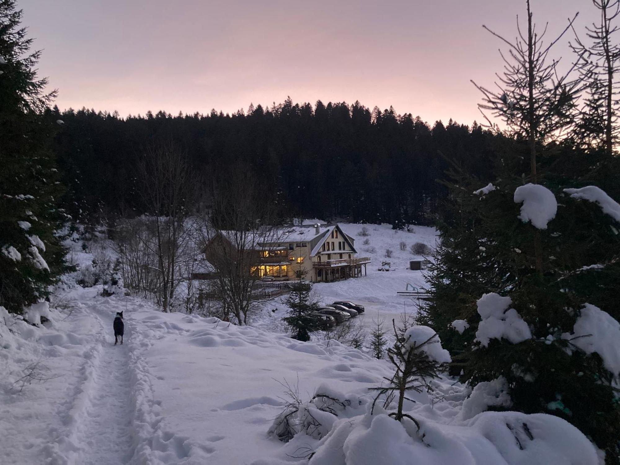 Le Perchoir Du Grand Valtin - Gite 5 Personnes - Altitude 830 Ban-sur-Meurthe-Clefcy Экстерьер фото